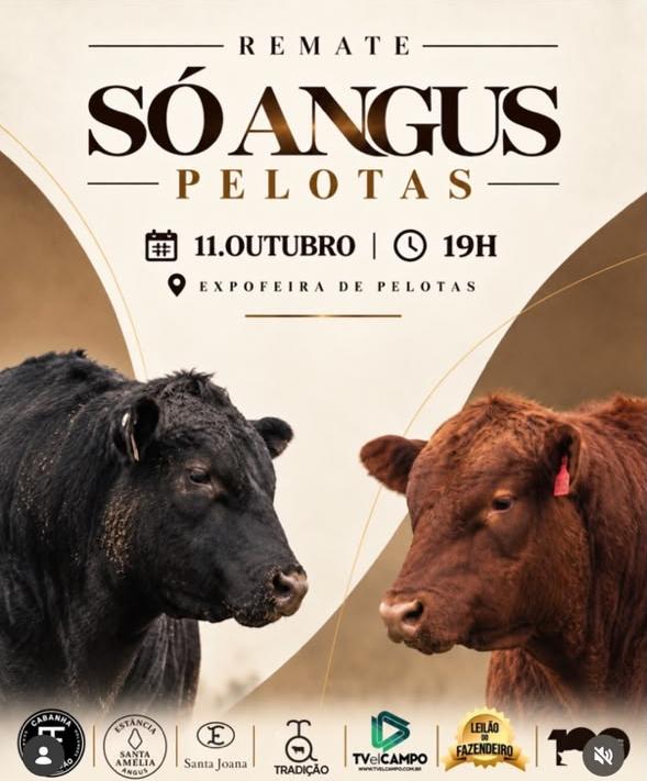 Remate Só Angus Pelotas